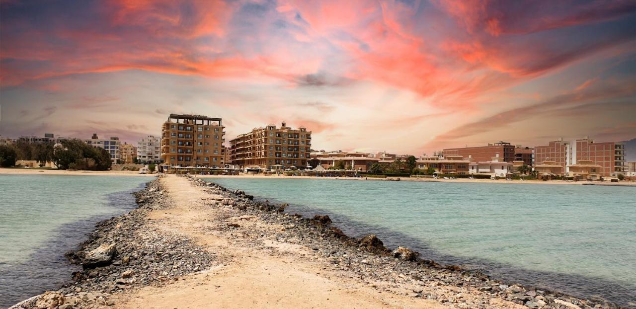 Turtle G4.10 * Hurghada
